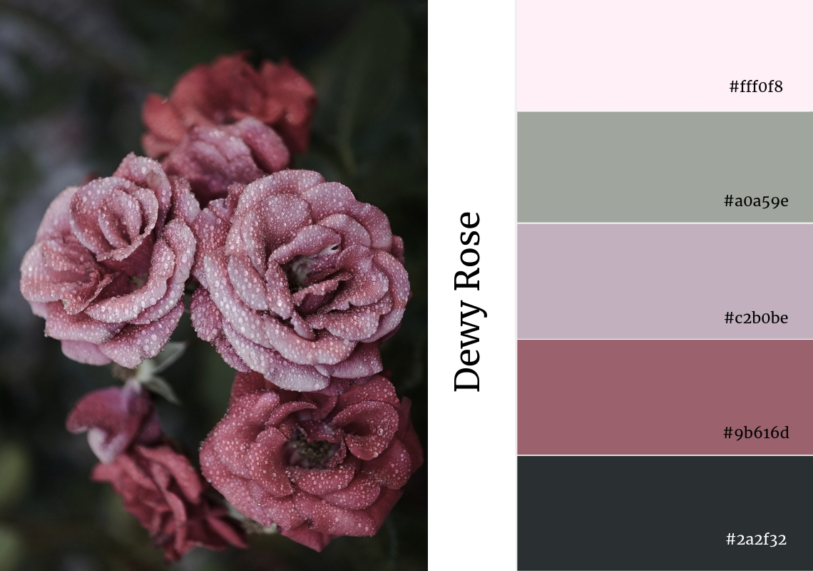 dewy rose colour palette pink